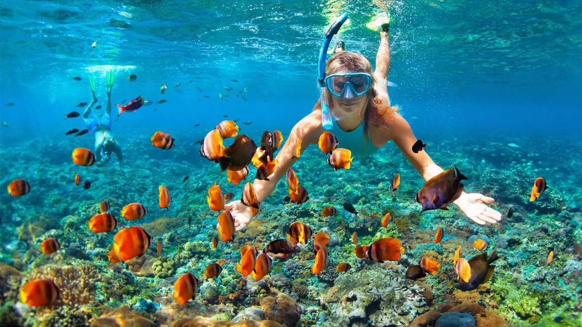 Top Snorkeling Spots in Puerto Vallarta