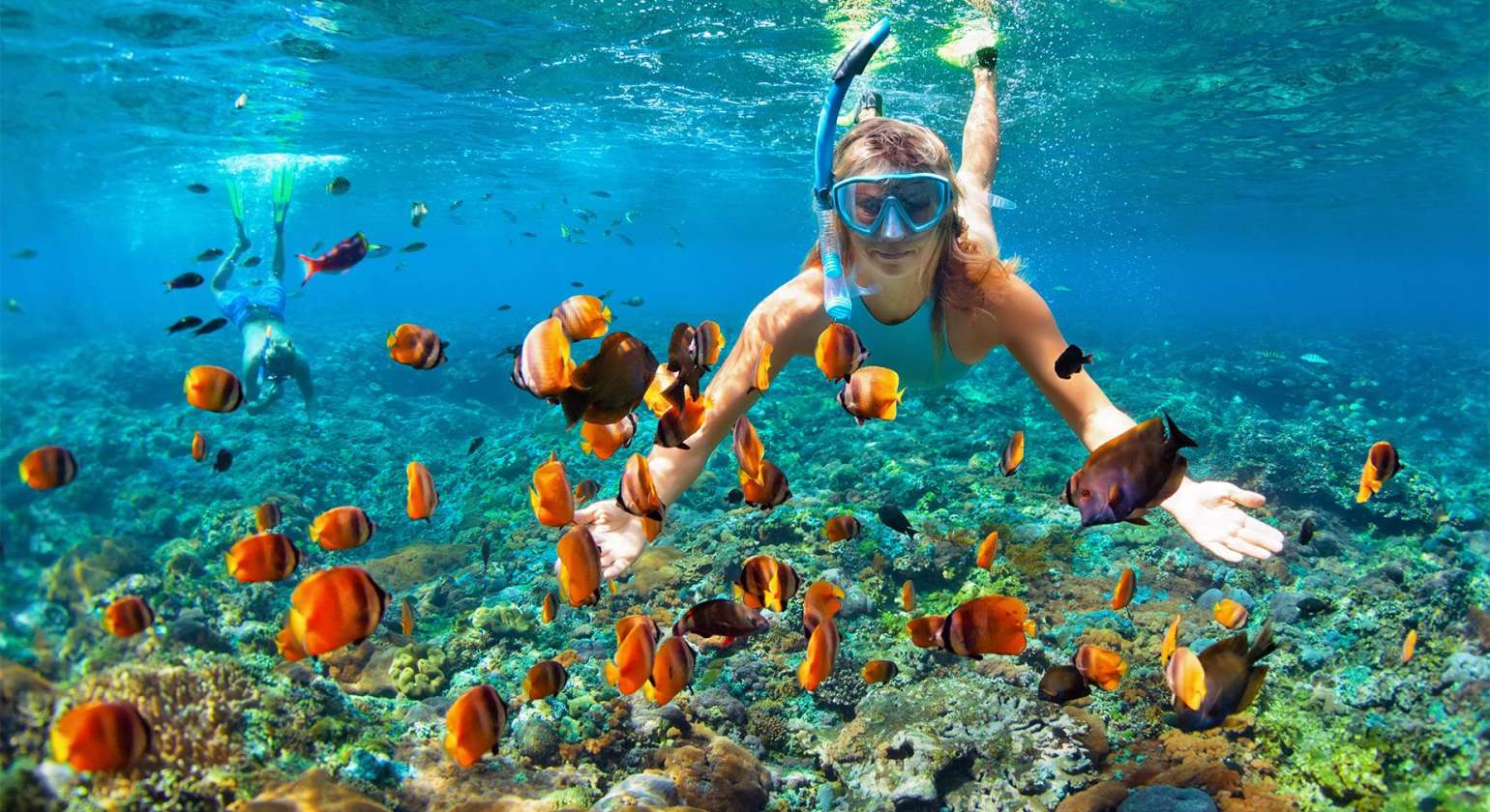 Top Snorkeling Spots in Puerto Vallarta