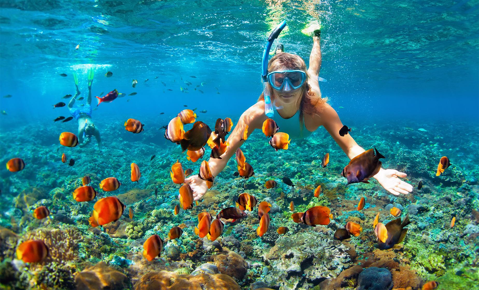 Top Snorkeling Spots in Puerto Vallarta